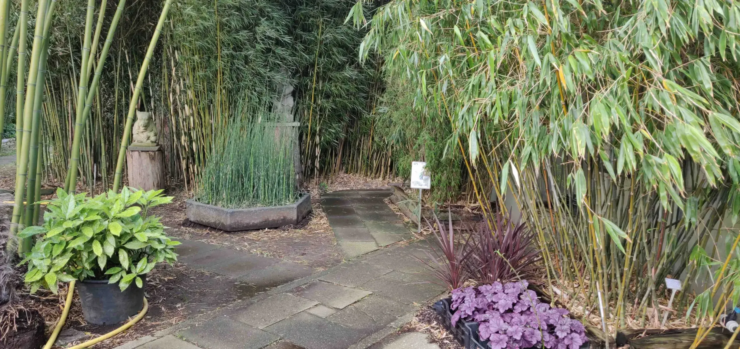 Kruispunt Showtuin Garden Paths Showgarden Perk Bamboo Com